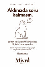 Elizabeth Yakalık - Khaki Kitty | Yumuşak Koruyucu Kedi Boyunluğu - detay 5