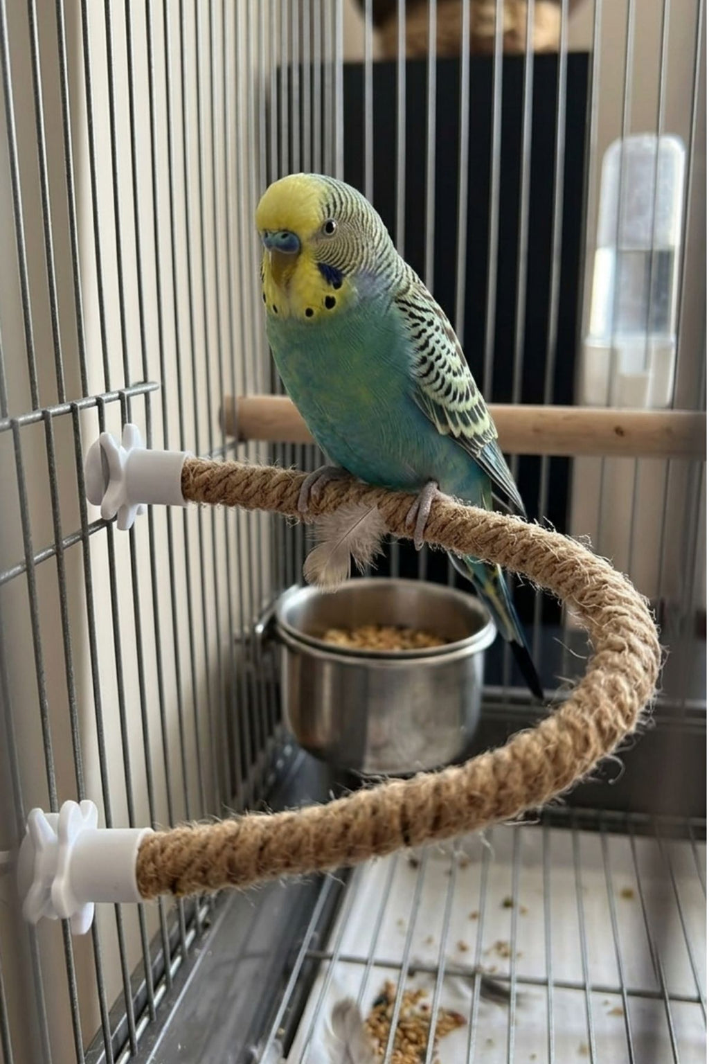 2'li Doğal Ahşap Kuş Tüneği Seti 40 cm Şekil Alabilen Esnek Jüt Tünek Muhabbet Kuşu Sultan Papağanı
